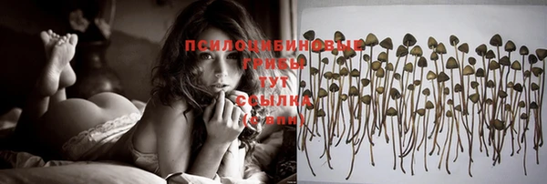 ГАЛЛЮЦИНОГЕННЫЕ ГРИБЫ Алексин