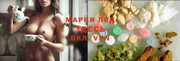 тгк Алзамай