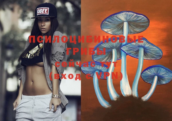 амф Алексеевка