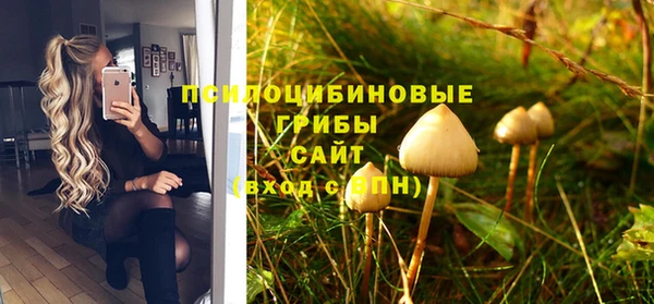 тгк Алзамай
