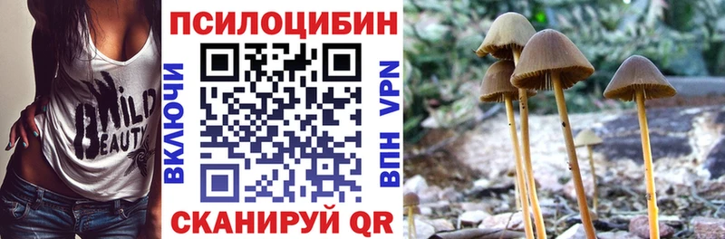 Псилоцибиновые грибы Psilocybine cubensis  сколько стоит  Чкаловск 